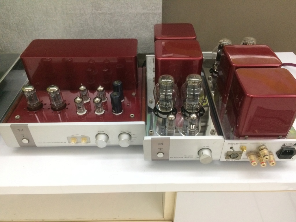 TRI 300B Mono Block Vacuum Tube Amplifier & Preamp (Sold) Tri_3011