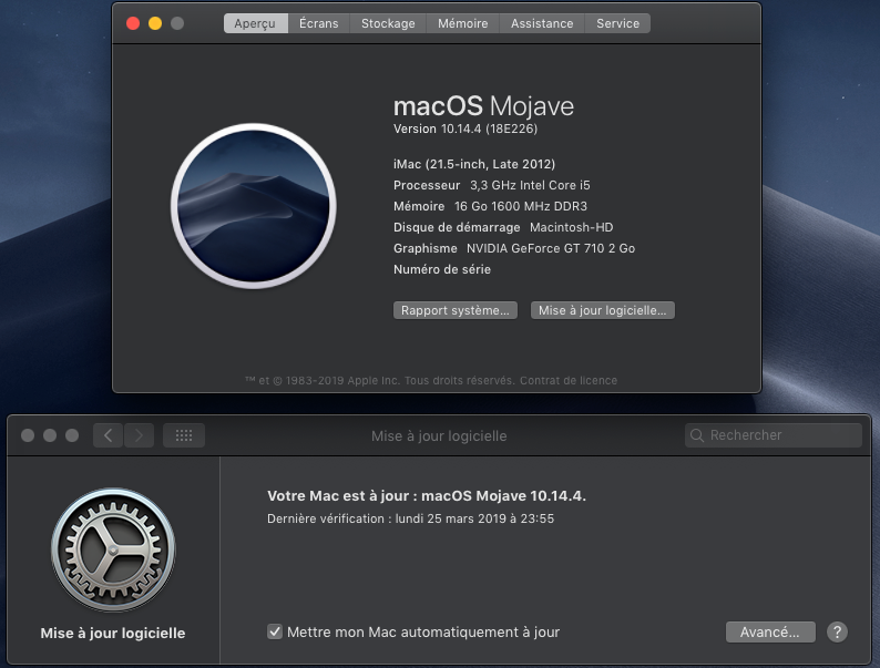 macOS Mojave 10.14.4 Finale version (18E226)  Captu559