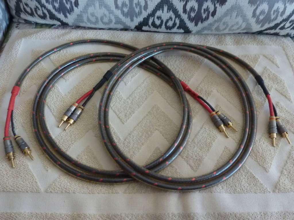 Wireworld Equinox Gen 1 Speaker Cables 2.5 meter pair (Used) SOLD P1070115
