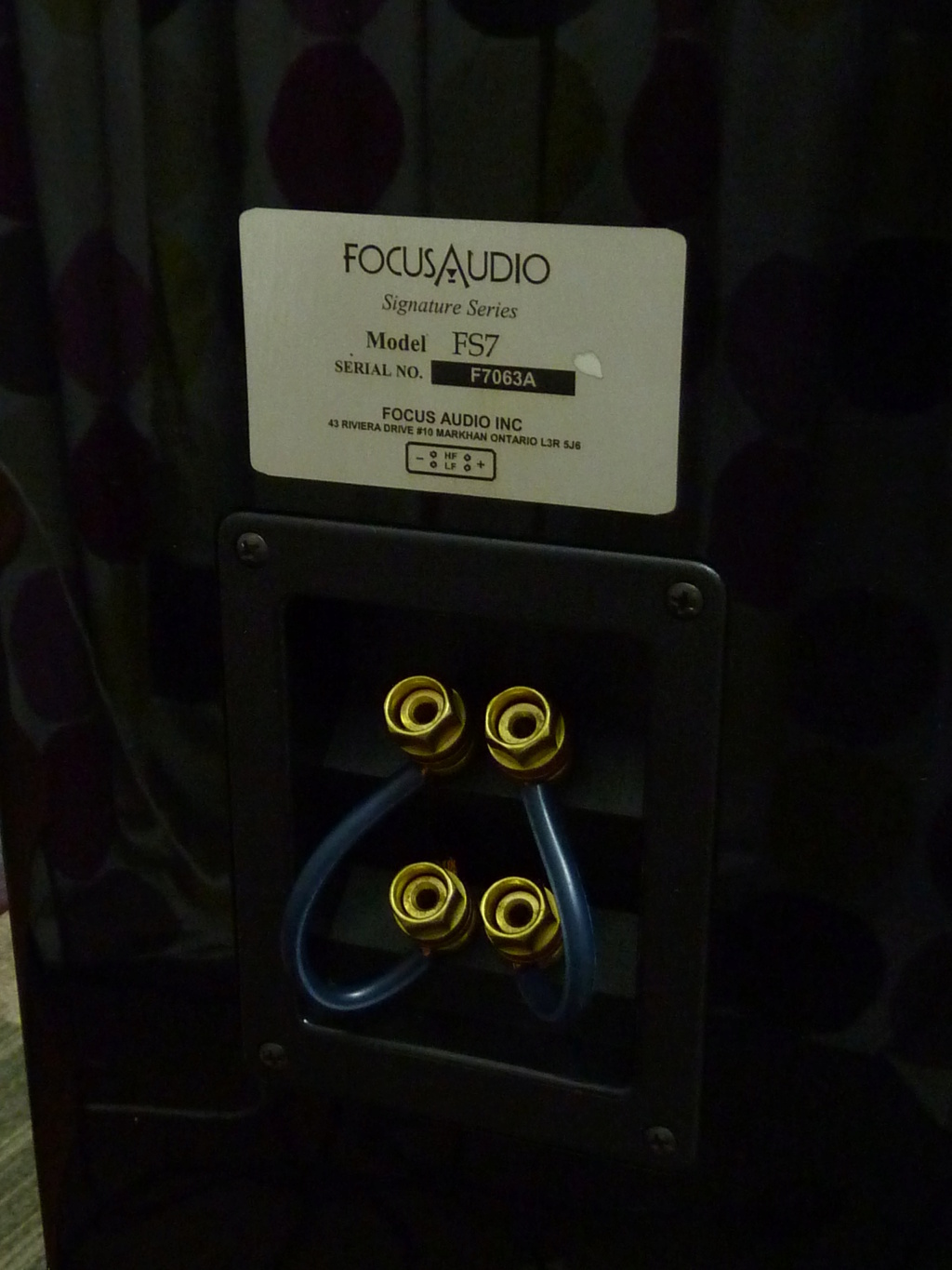 Focus Audio Signature Series FS7 Floor Stand Speakers (Used) SOLD P1070137