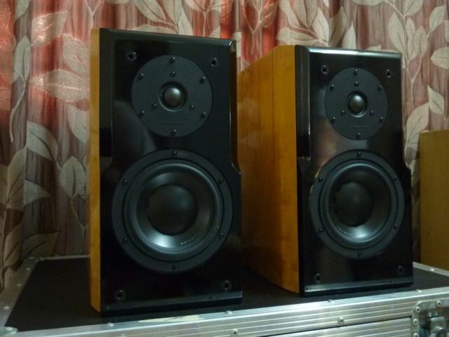 Hi-Vi Rearch Speakers (Used) P1070228