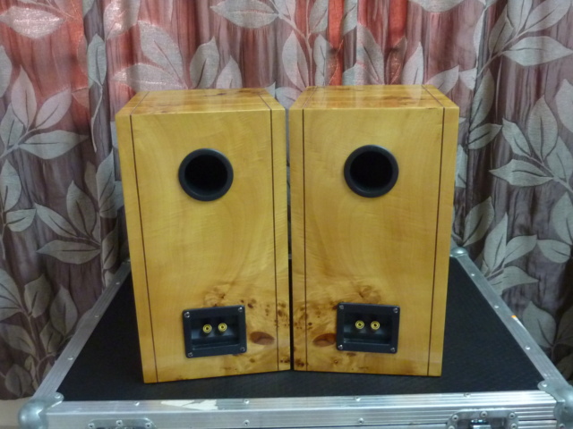 Hi-Vi Rearch Speakers (Used) P1070230