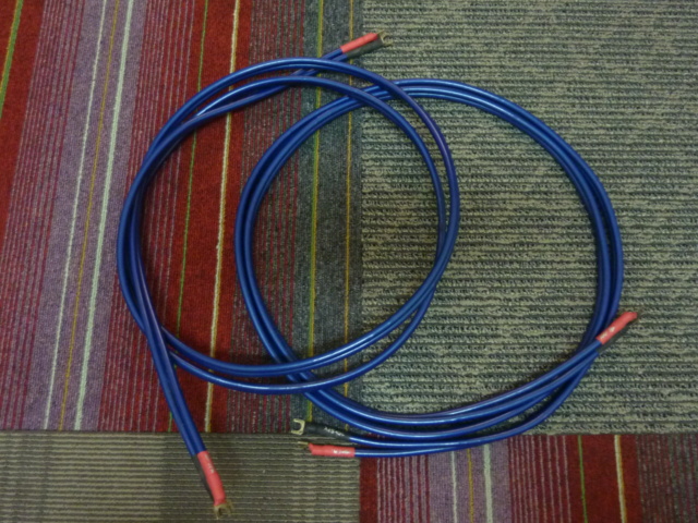Wireworld Oasis Speaker Cables 2.5 meter pair (Used) P1070526