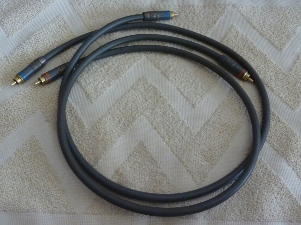 Acoustic Labs Switzerland Silverlink 300 Audio Interconnects 1 meter pair (used) P1070538
