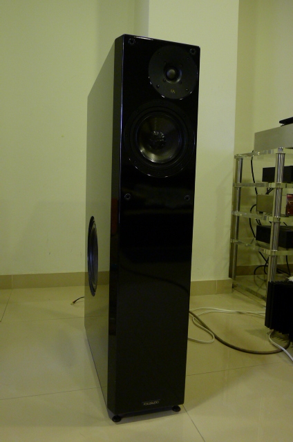 Focus Audio FS 88 Signature Floorstand Loudspeakers (Used) SOLD P1150538