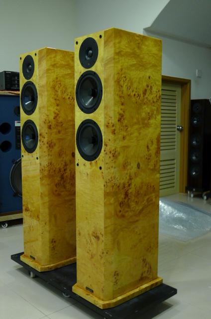 Focus Audio FS888 Signature Series Floorstand Loudspeakers (Used) SOLD P1150811