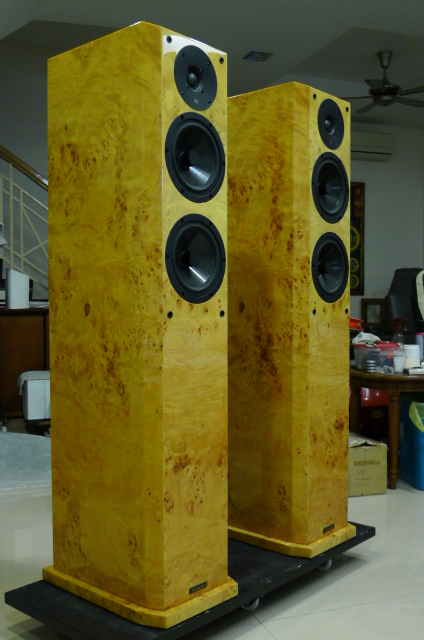 Focus Audio FS888 Signature Series Floorstand Loudspeakers (Used) SOLD P1150812