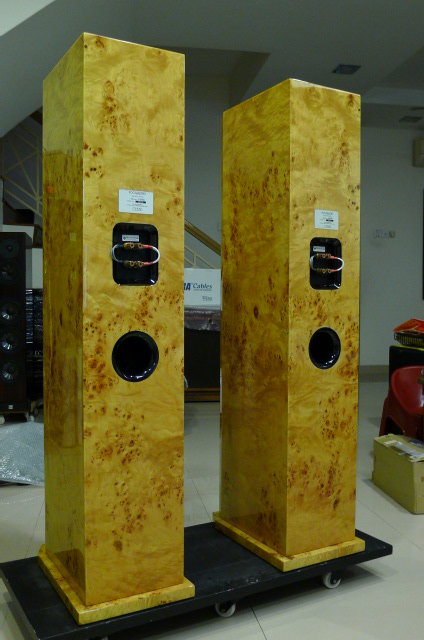 Focus Audio FS888 Signature Series Floorstand Loudspeakers (Used) SOLD P1150813