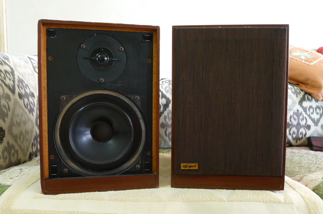 Tangent Acoustics RS-2 Speakers (Used) SOLD P1160117