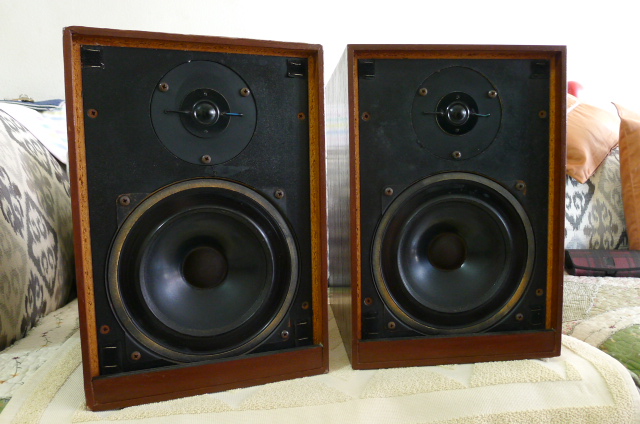 Tangent Acoustics RS-2 Speakers (Used) SOLD P1160119
