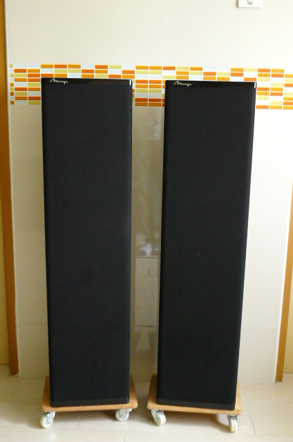 Mirage M1090i Floorstand Loudspeakers (Used) P1160513