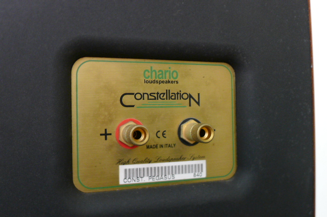 Chario Constellation Pegasus Floor Stand Speakers (Used) SOLD P1170016