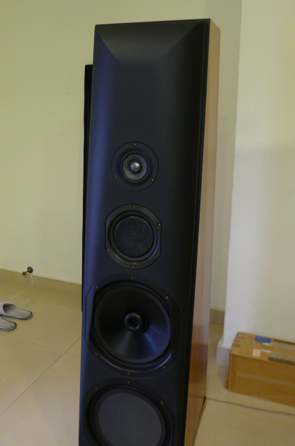 Thiel CS 7 Loudspeakers (Used) SOLD P1170046