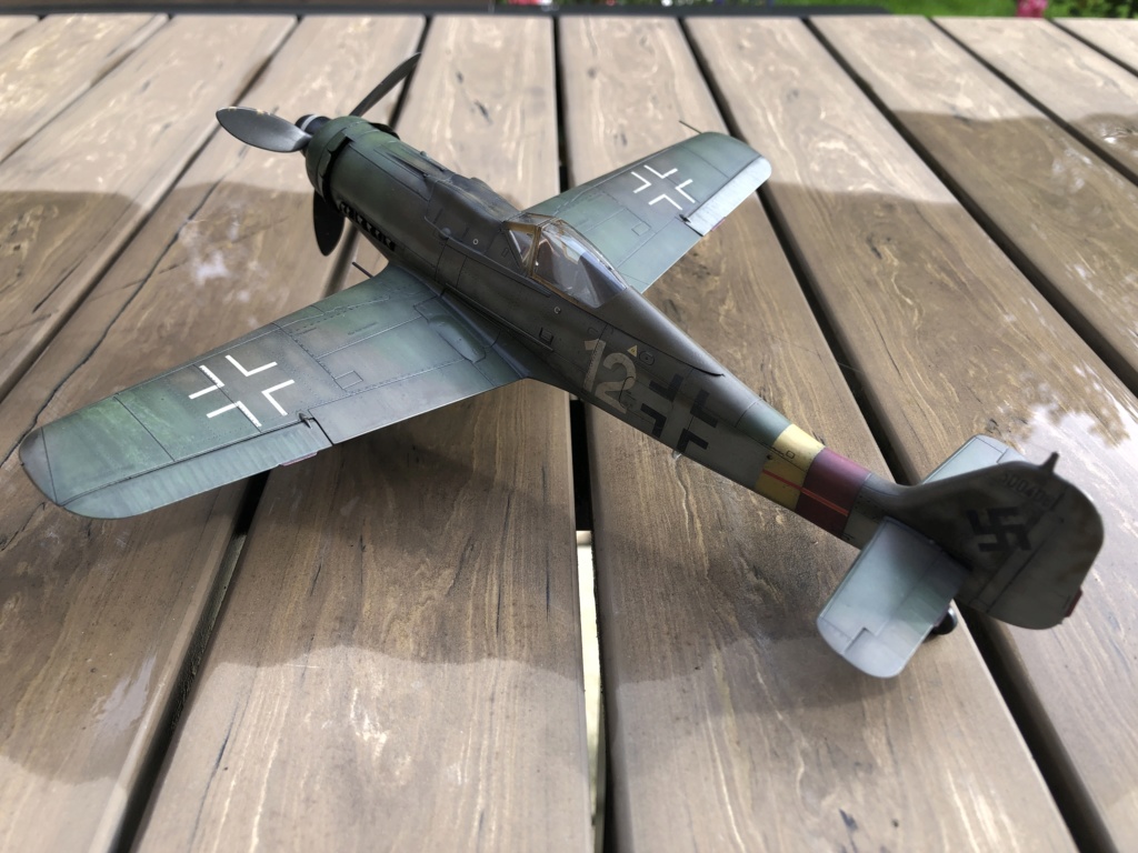 FW 190 D-9 Kit Eduard Profipack 8184 au 1/48 Img_1730