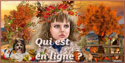 Qui est en ligne ?
