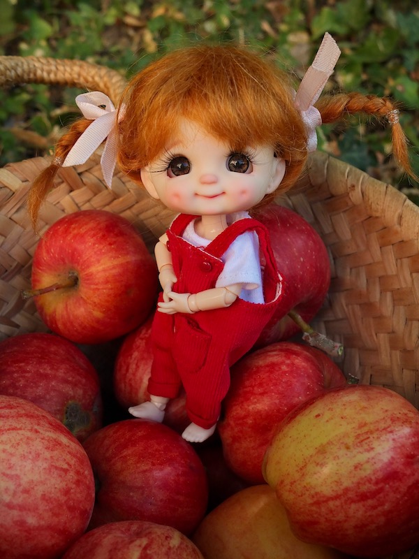 Qui m'a aidée à ramasser les pommes? Dscf5911