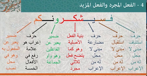 شرح تفصيلي للفعل المجرد والفعل المزيد منهج الصف الثاني الإعدادي 1470