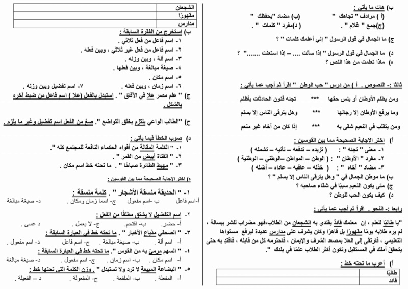 امتحان - امتحان لغة عربية شامل ثالثة اعدادي ترم ثاني 21009