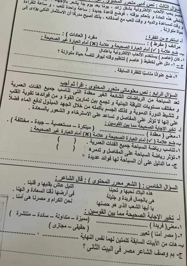 امتحان اللغة العربية للصف السادس الابتدائى ترم ثانى 2024 بورسعيد 2980