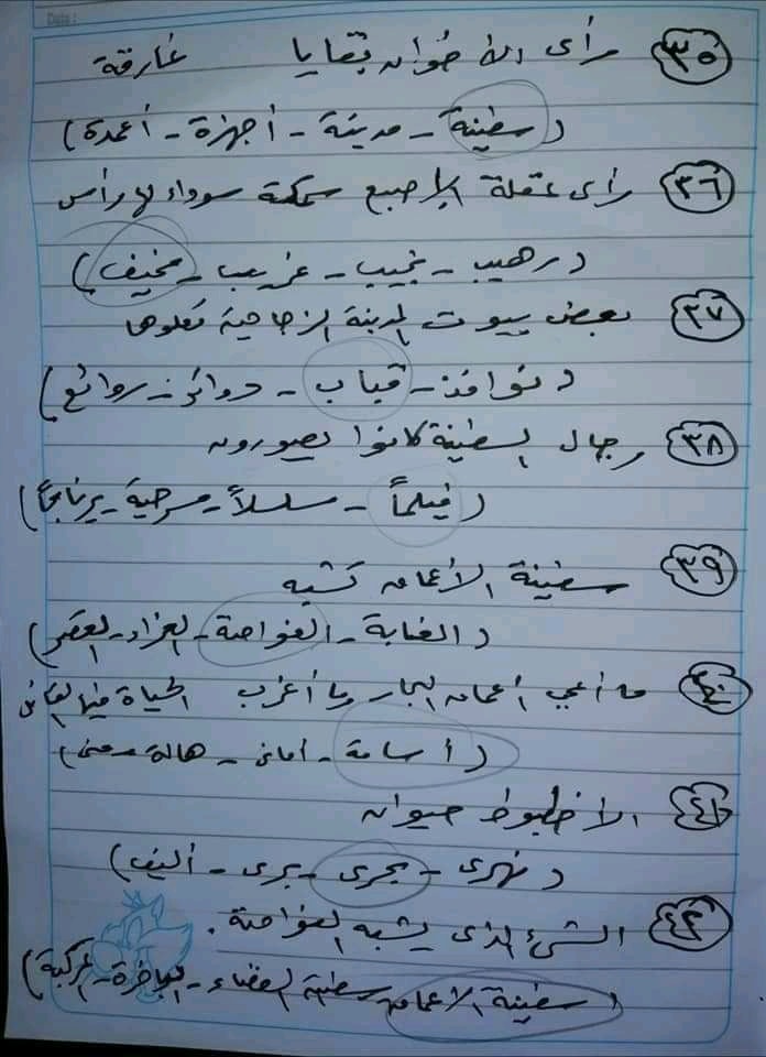 مراجعة قصة اللغة العربية للصف الخامس الابتدائى الترم الثانى.. اختيار من متعدد 3511