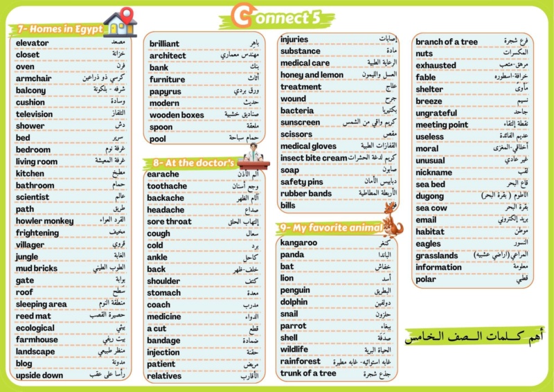 انجليزية - ملخص لأهم كلمات لغة انجليزية المرحلة الابتدائية الترم الثاني 2024 PDF 4737