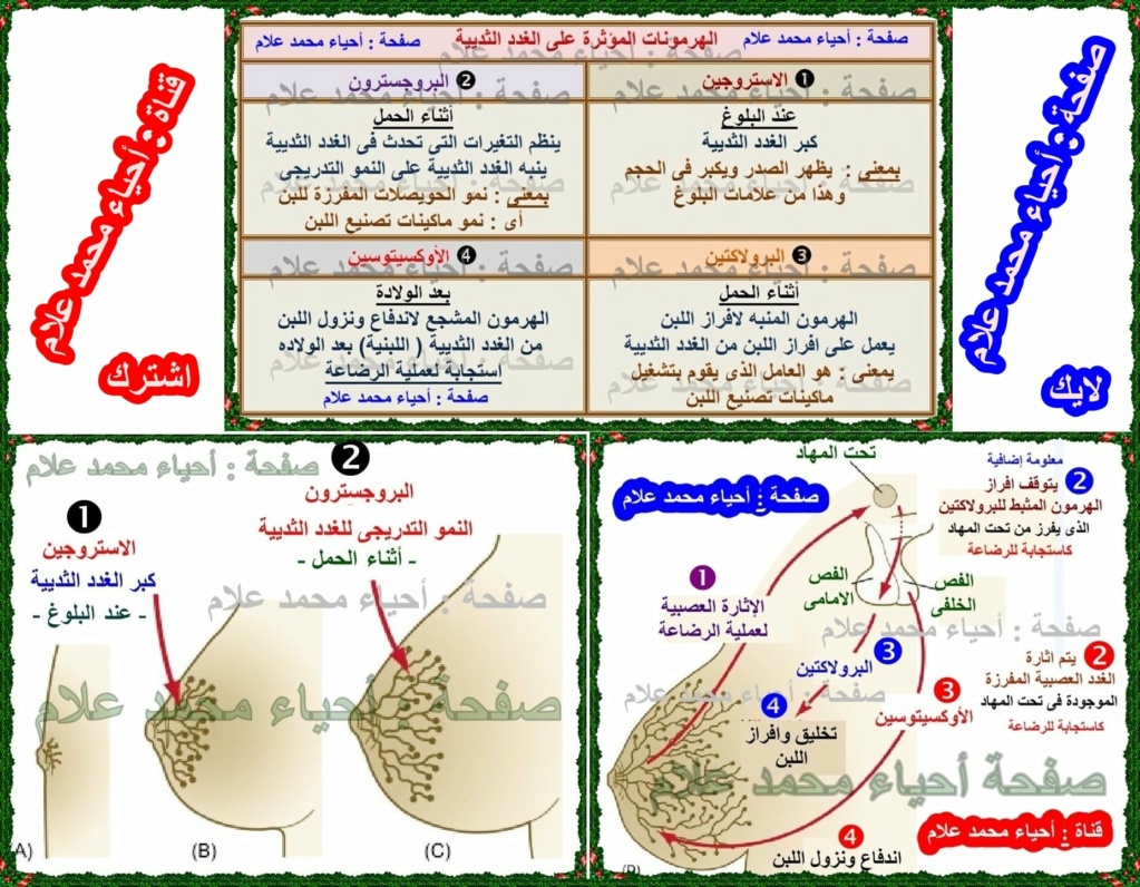 مراجعة احياء ٣ ثانوي | الهرمونات 916