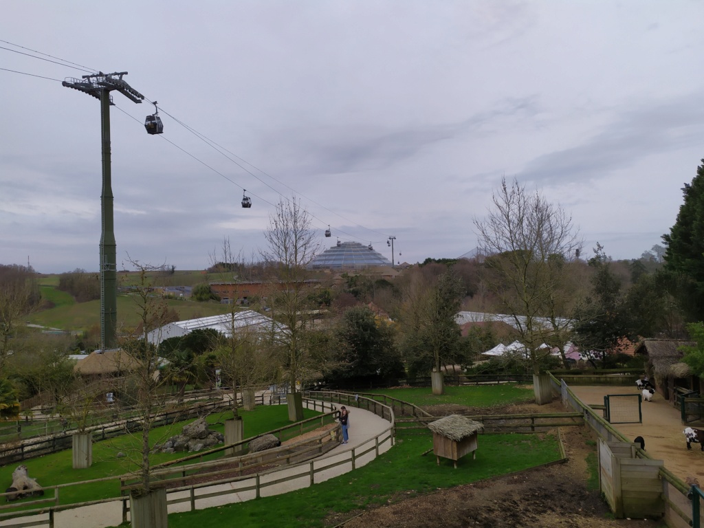 Télécabine débrayable (TCD8) Nuage de Beauval – Zoo de Beauval Img_2037