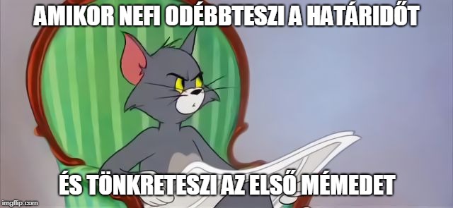 Mém készítő verseny 2q3zp310