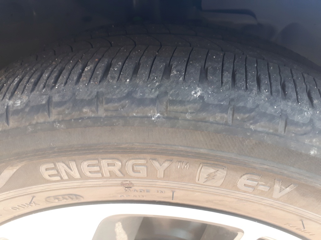 Quelle marque de pneus avez -vous choisie en remplacement des Michelin EV, suite au problème d'usure ? - Page 4 20180710