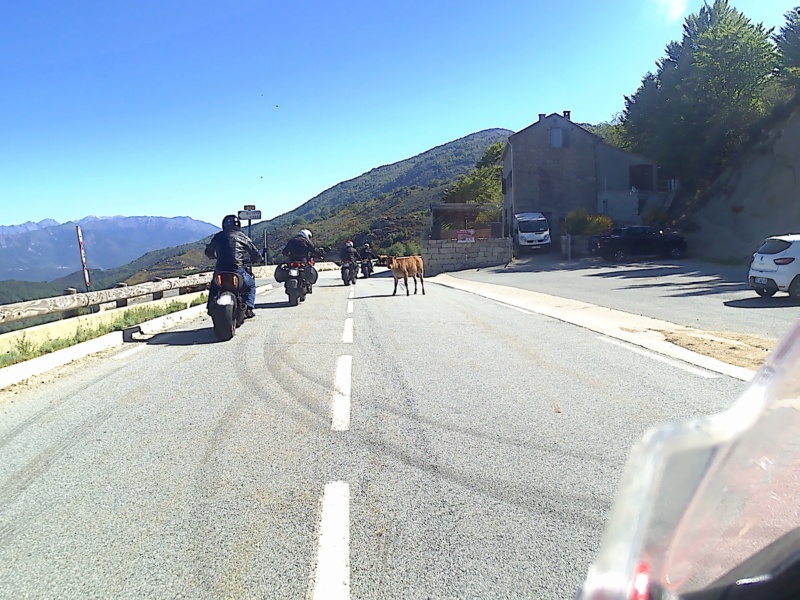 LA CORSICA 2019 20170111