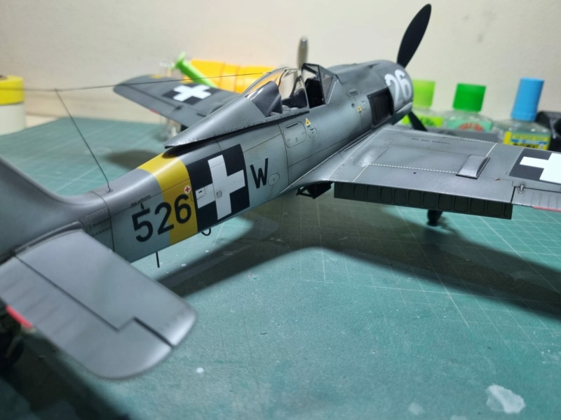 Fw190F-8 - Hasegawa 1/32 Sm_fw153