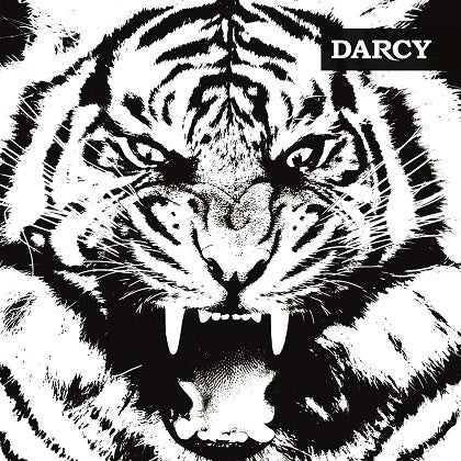 DARCY - Rock énervé  - France  Darcy_10