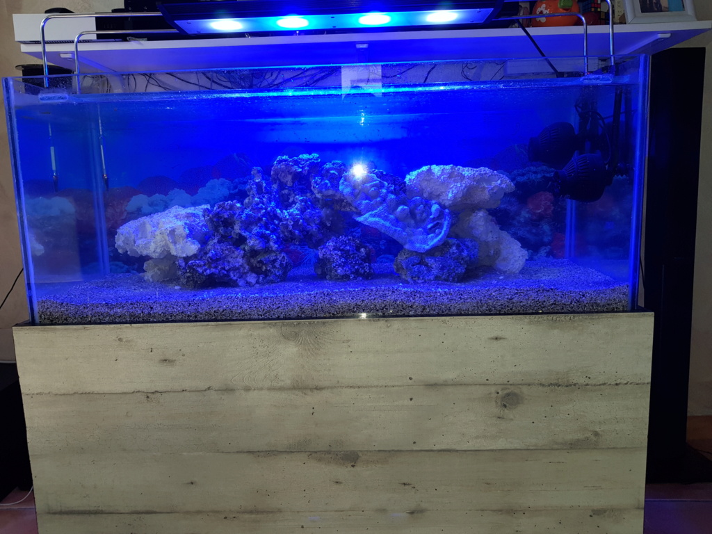 Aquarium 250L 20180811