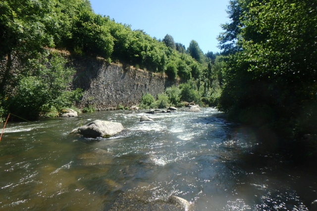 Le Haut Allier en été P8093911