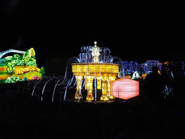 Festival lanternes chinoises à gaillac  - Page 6 66b16910