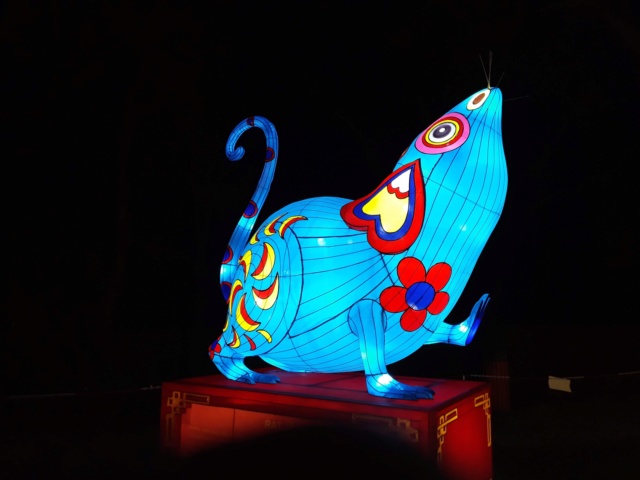 Festival lanternes chinoises à gaillac  - Page 3 A294fb10
