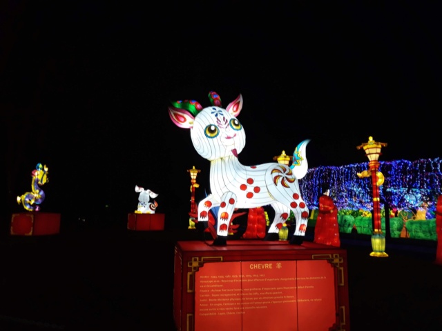 Festival lanternes chinoises à gaillac  - Page 3 D56e6010