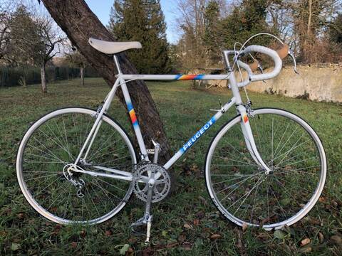 Peugeot Aubisque 1988