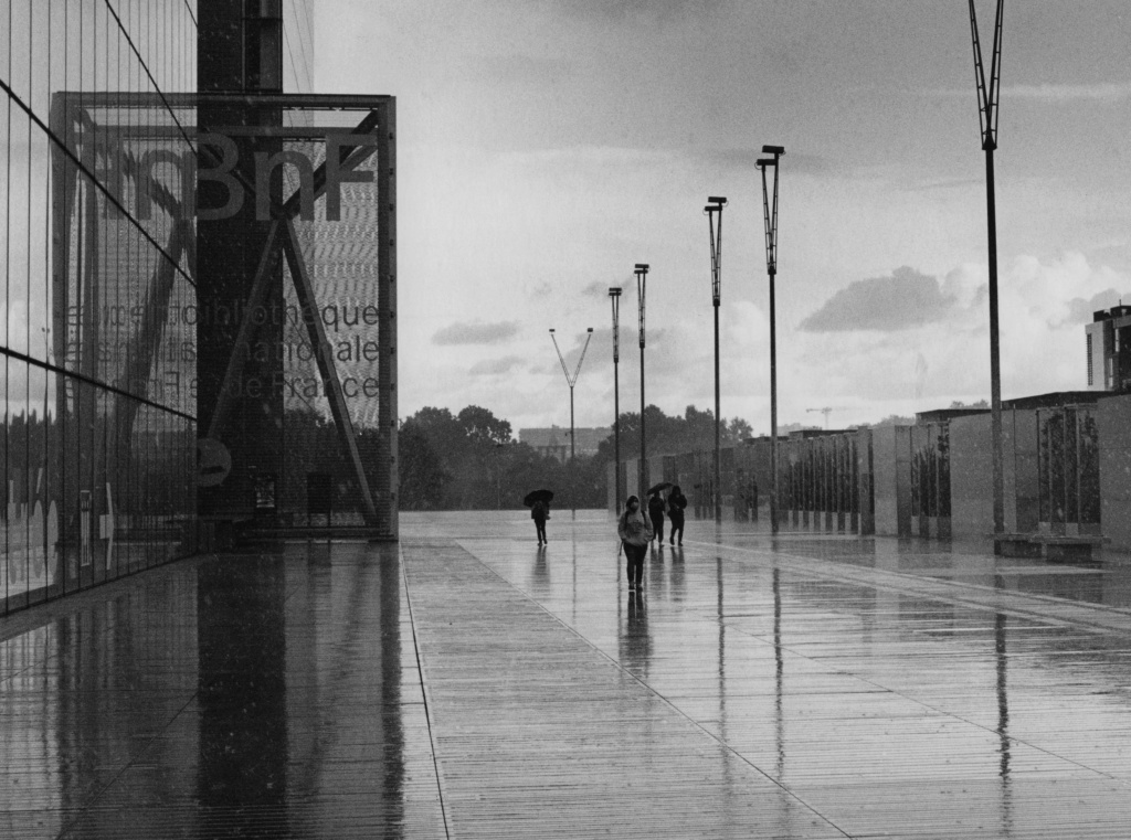Balade parisienne sous la pluie 2020-026
