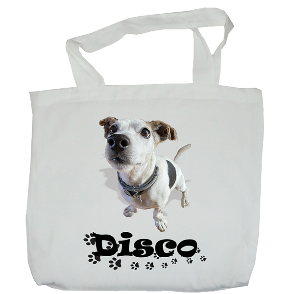Disco                    Disco10