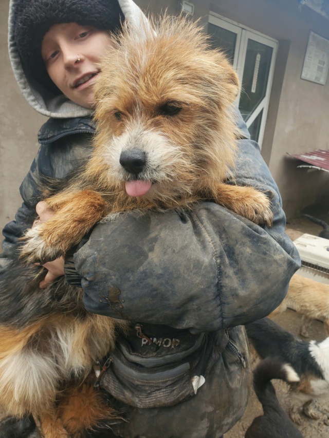 KACHOU (ex KACHING),  mâle, de petite taille - né environ en janvier 2021 - REMEMBER ME LAND - Adopté par Anne (69) 33959910