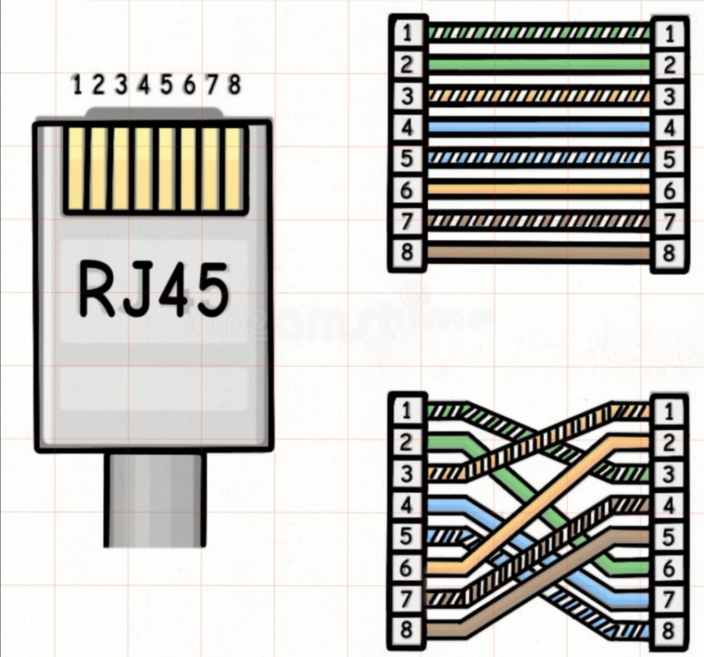 CONECTOR RJ-45 Whatsa37
