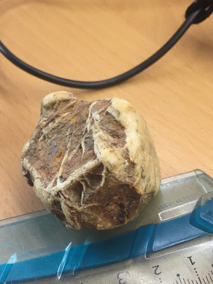 identificar si es un fósil o una piedra Img_210