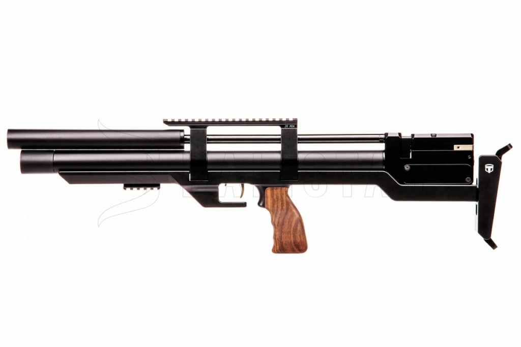 Gamo Compact - Taipan en promo Cal. 5.5 mm et 6.35 Standard / Tactical / Compact D1a8dd10