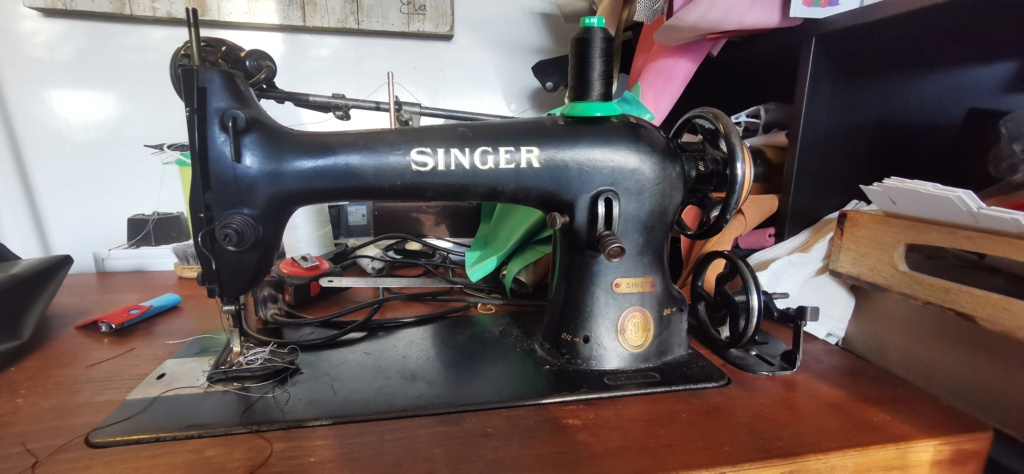 Recherche de renseignement pour ma singer 31k32 Img_2013