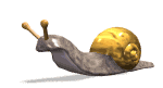 Escargot Escarg10