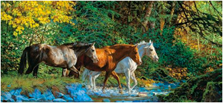 "COUNTRY GIRLS" Horses10