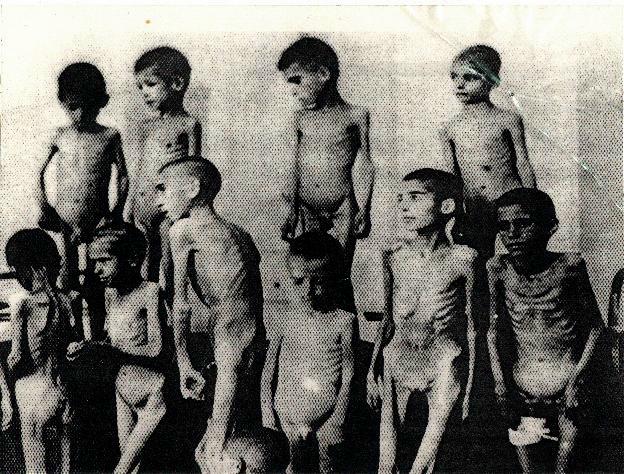 1942, le régime nazi décide d'exterminer tous les Juifs d'Europe. Plus de six millions d'entre eux, hommes, femmes et enfants, ont péri - Page 2 Shoah10