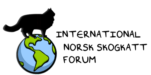 International Norsk Skogkatt