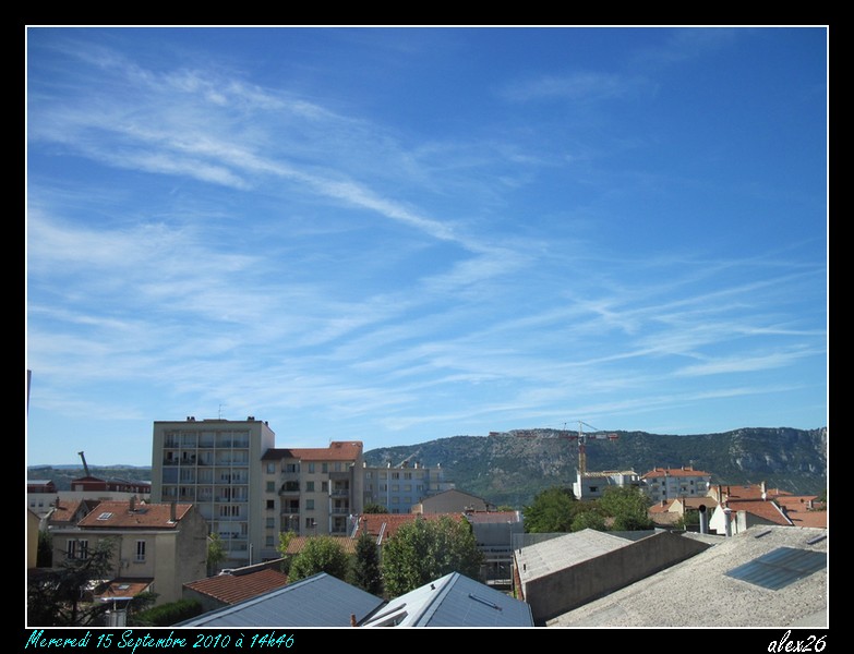 Cirrus incinus Img_0720